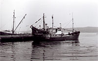 LT467 Ocean Surf